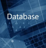 Database